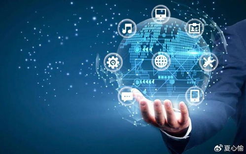 踏浪数字化浪潮，银联商务如何成为企业管理咨询的“多面手”？