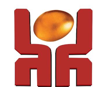 河南鼎越企业管理咨询 专业商务咨询，助力企业卓越发展